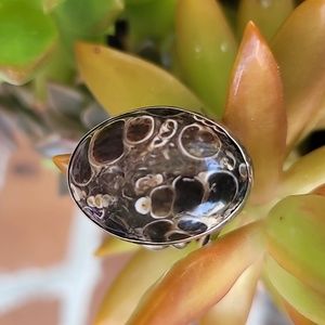 Turritella Agate Sterling Silver Ring